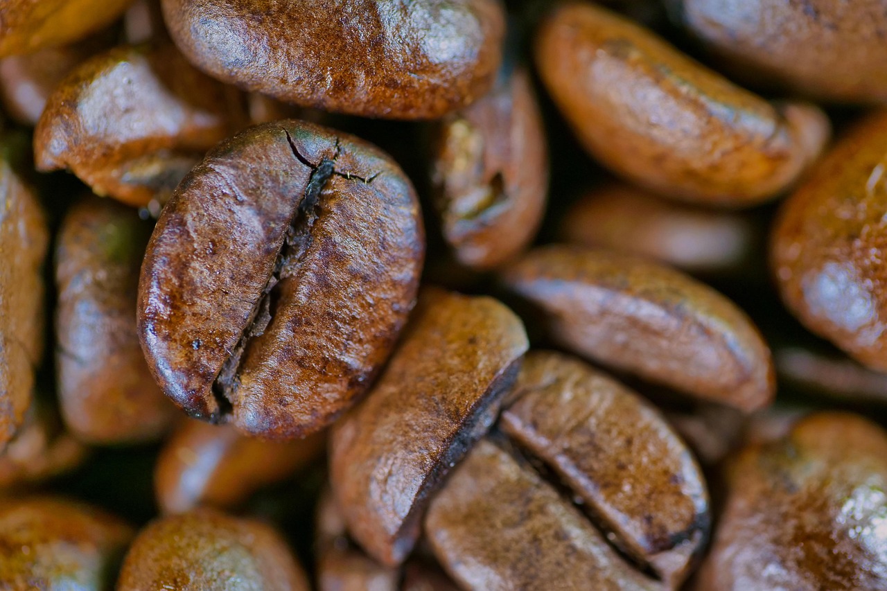 Ethiopia Guji