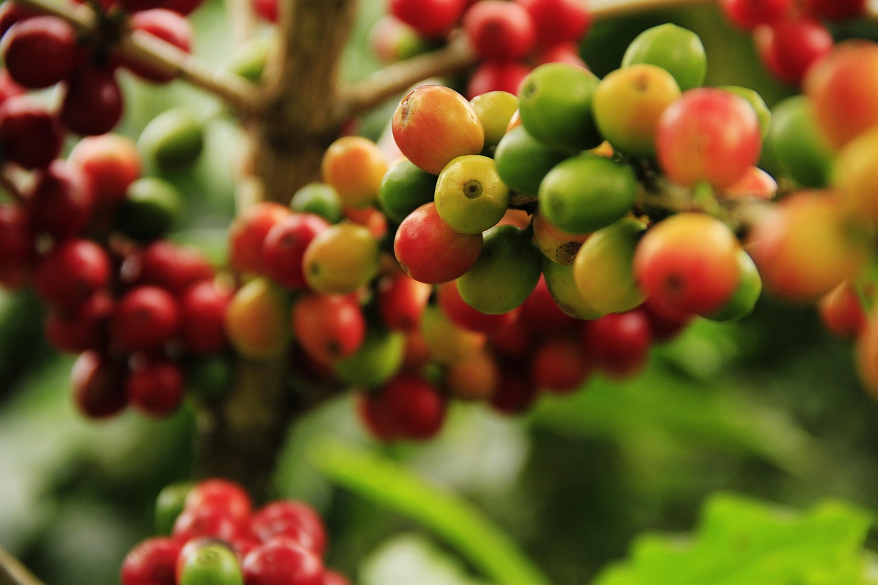 Colombia Huila